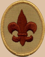 Boy Scout Rank